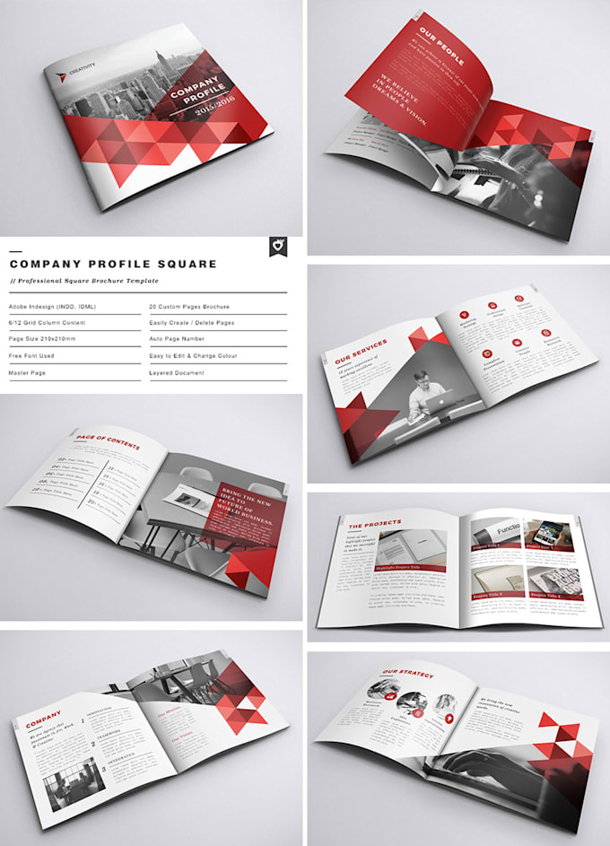 Design a professional company profile, brochure and booklet by Alicewayne