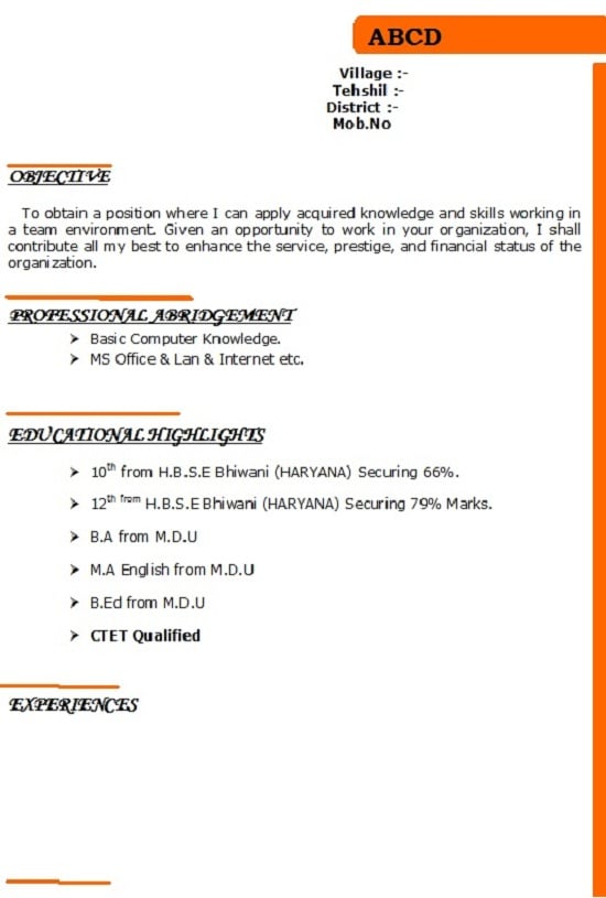 Traditional Resume Templates To Impress Any Employer
