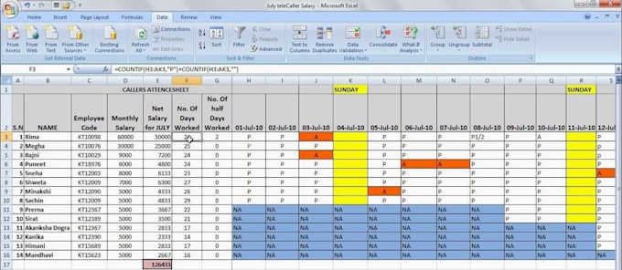 create professional excel sheet databasedata entry by