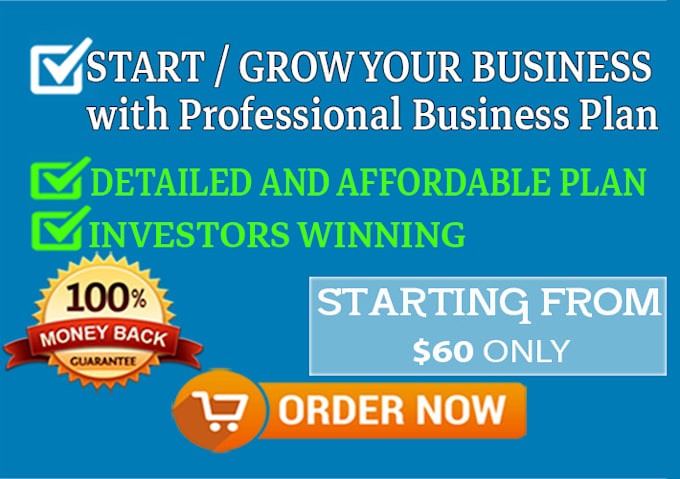 professional business plan writer