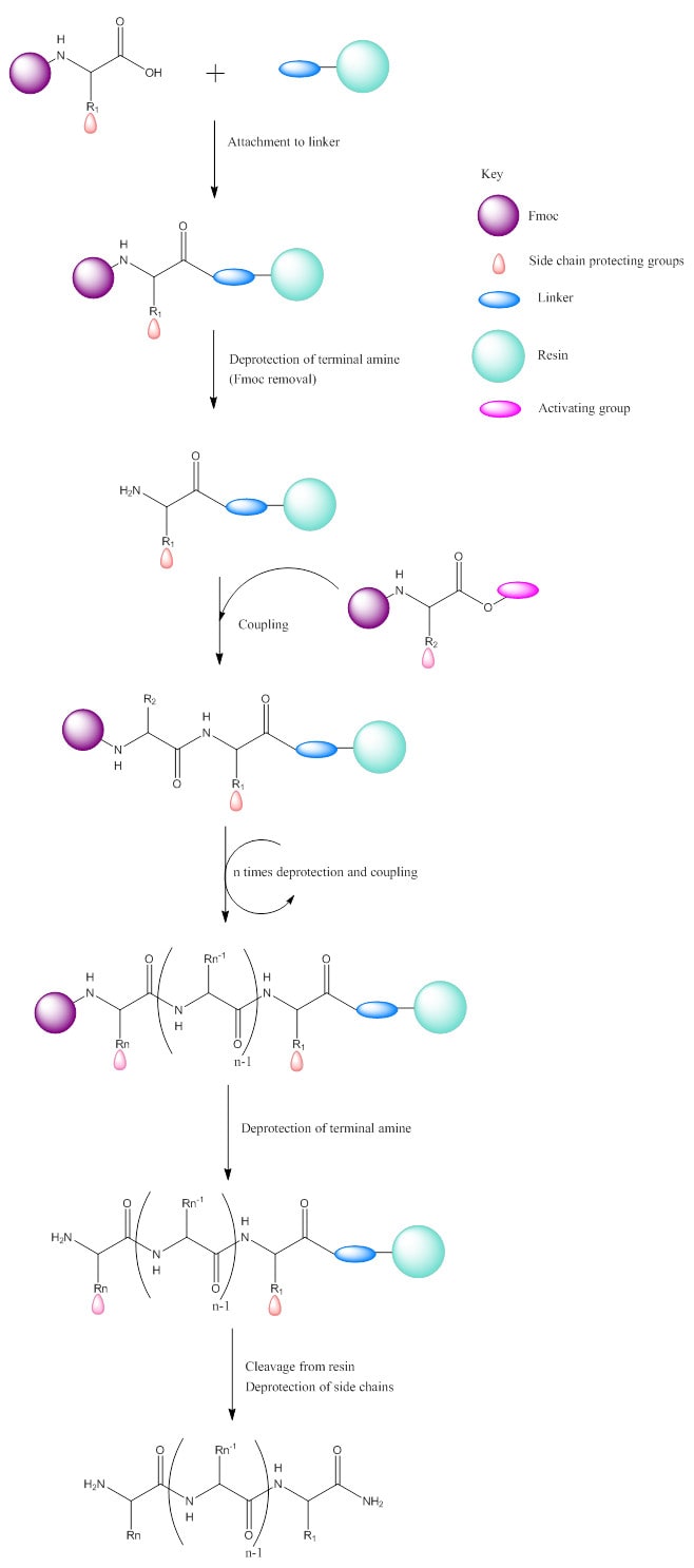 Draw Chemical Structures And Reactions Accurately By Natalies Pencil