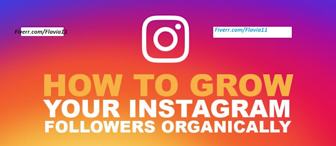 i will grow your instagram with organic followers with report - instagram followers report