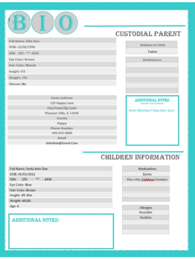 allow-you-access-to-my-bulletproof-custody-binder-template-by-erhome