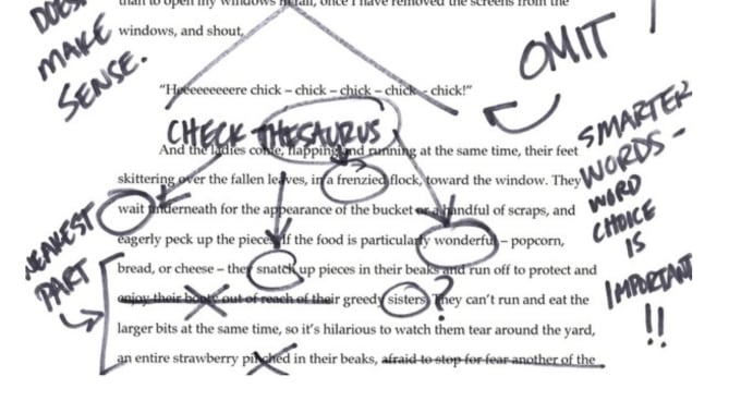 Essay On Death Of A Salesman Essay On Philosophy also Altruism Essay Edit Your College Essay Macbeth Critical Essay