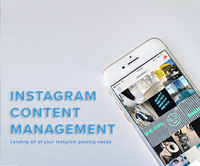 i will grow and manage your instagram following - social media content to build your following on instagram