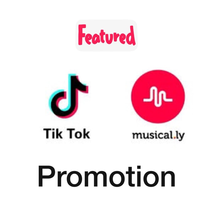 how to get followers on tiktok without downloading apps