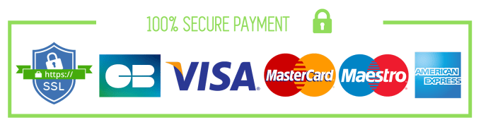 Image result for secure payment logo