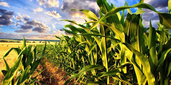 assist in agriculture geography and environmental science essays by i will assist in agriculture geography and environmental science essays
