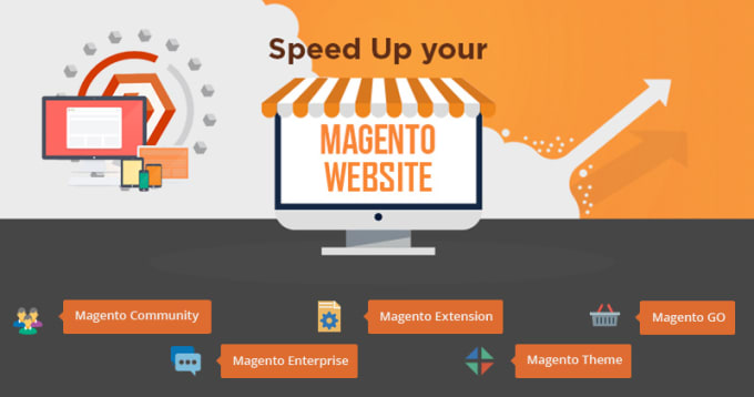 Magento website