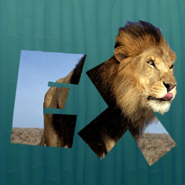 Digital Design Logo Done Quick Adobe Photoshop Certified
