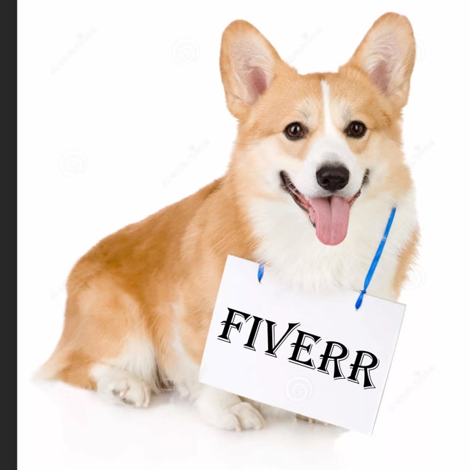 Funny Puppies Logo