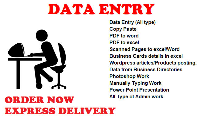 Complete Any Type Of Data Entry Work Full Time Job