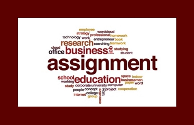 Hadi55 I Will Do Your Business Assignment Case Study For 85 On Wwwfiverrcom - 