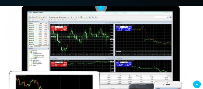 Gulsher Alhi I Will Invent A Forex Trade Bot And Website For 450 On Www Fiverr Com - 