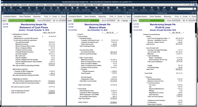prepare professional balance sheet income and cash flow professional income statement
