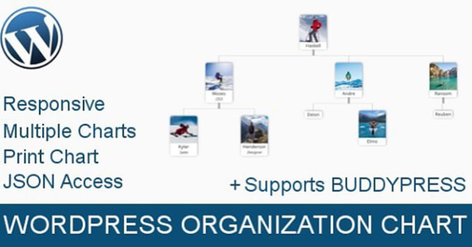 Responsive Organization Chart