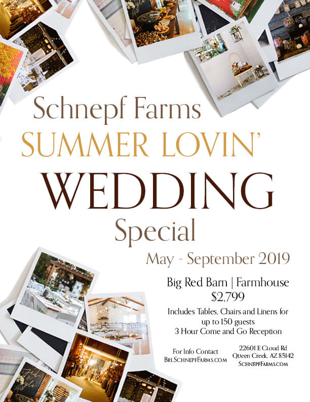 Design A Flyer Ad Or Promotion By Campfiremedia