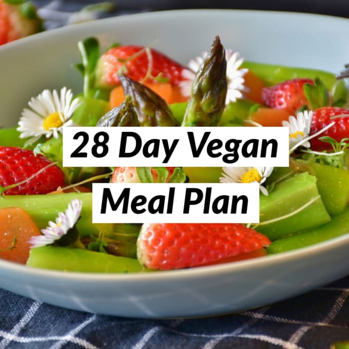 28 day meal planner