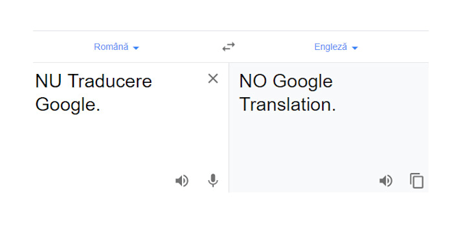 French cv format picture