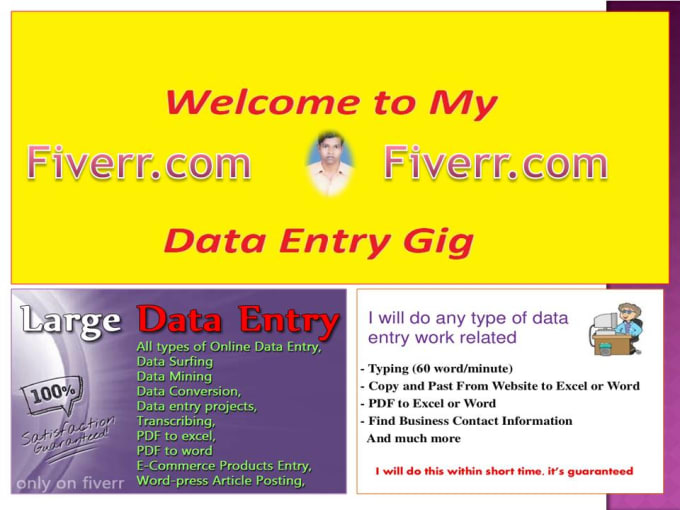 Do Any Kind Of Data Entry Job
