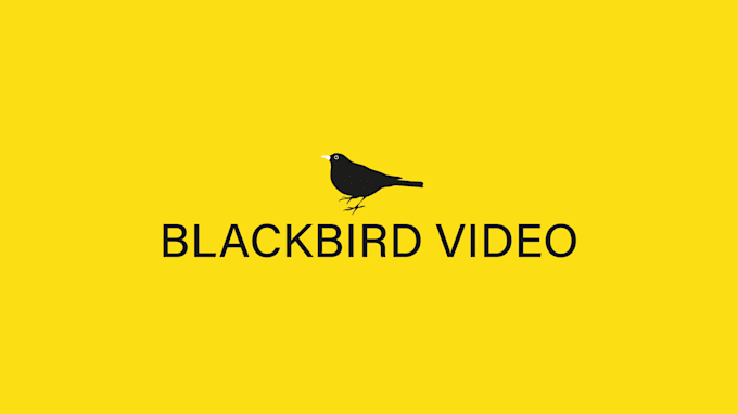 Design An Original Youtube Banner Whit Vector Graphic By Perdigiorno