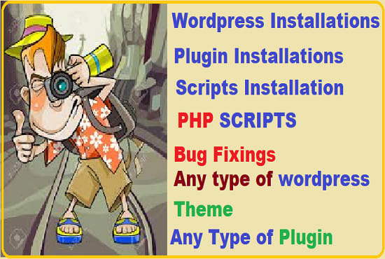 deliver any type of wordpress plugin and script and install
