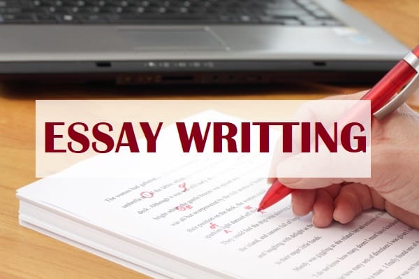 Essay On Renewable Resources Verbal Communication Essay also Middle School Persuasive Essay Topics Do Business Essay And Research For Your Management Tasks Thesis Statement Analytical Essay