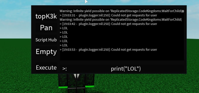 Savagecatshackr I Will Make A Simple Ss Roblox Executor For 5 On Wwwfiverrcom - rel rel how do insert backdoor in a roblox game and execute