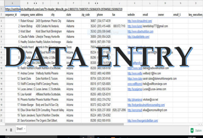 Do Data Entry Work By Yashjain5555