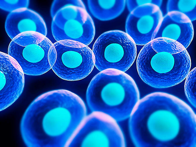 tqas biology 14 definitions of tqa meaning of tqa what does tqa stand for tqa abbreviation define tqa at acronymfindercom. tqas biology 14 definitions of tqa meaning of tqa what does tqa stand for tqa abbreviation define tqa at acronymfindercom.