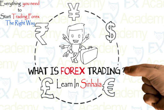 Teach You How To Trade Forex In Sinhala - 