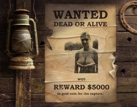 Creat a hd realistic western vintage wanted poster by ...