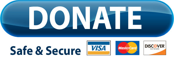 paypal donate button 2015