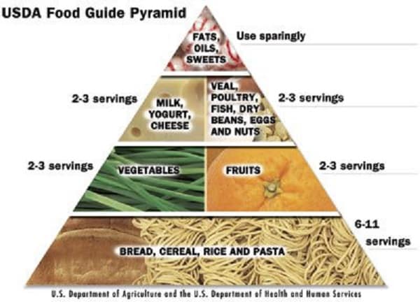 disadvantages of food guide pyramid The cons of the usda food pyramid come more so from the way the individuals read it then the food guide pyramid offers consumers an easy-to-read graphic that. disadvantages of food guide pyramid The cons of the usda food pyramid come more so from the way the individuals read it then the food guide pyramid offers consumers an easy-to-read graphic that.