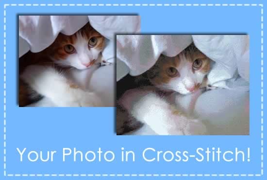 Convert A Picture To A Cross Stitch Pattern