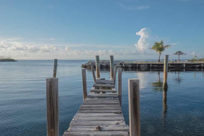 dock-meaning-in-hindi-about-dock-photos-mtgimage-org