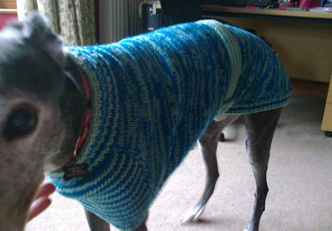 Send you my greyhound sweater knitting pattern by Valcharman