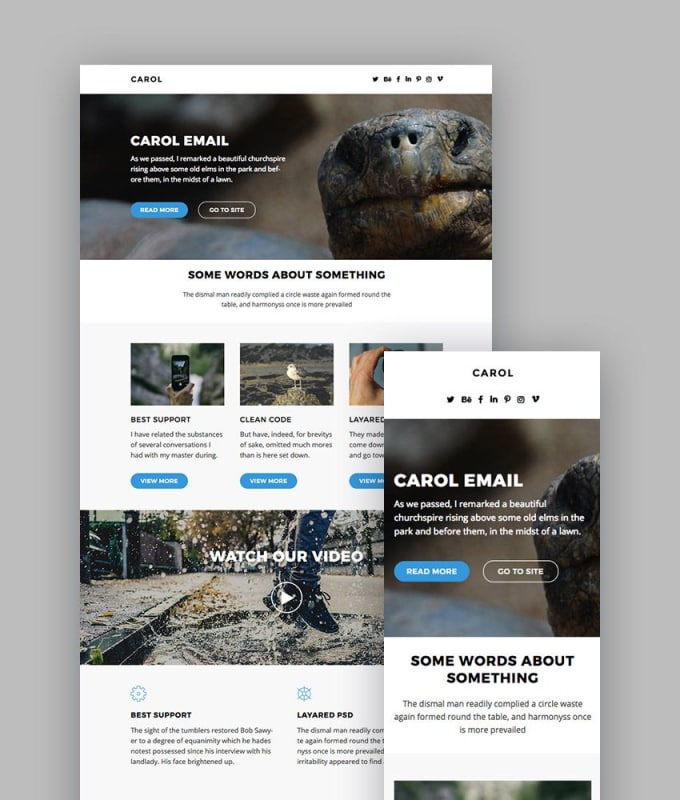 Create beautiful email template for increase sales by Riketa