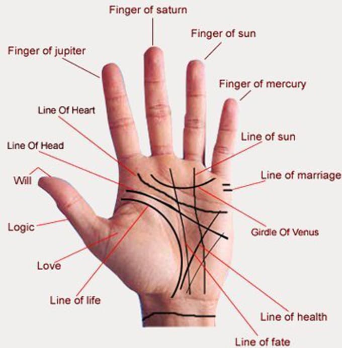 Do accurate palm reading and tell about future by Lighttruth