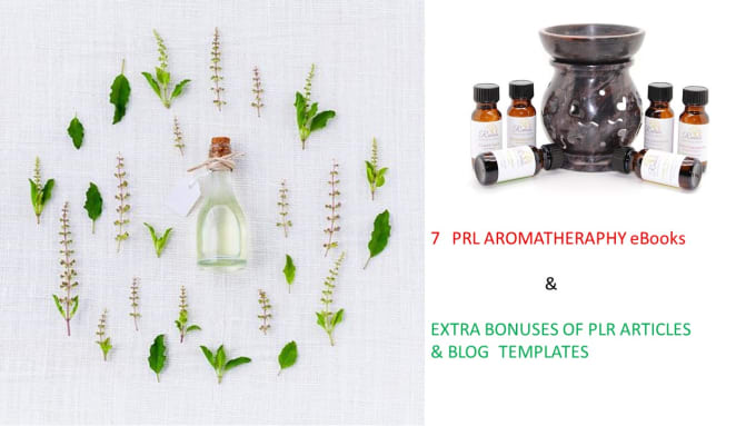 Give You 7 Aromatherapy Ebooks With Plr And Blog Bonuses - 