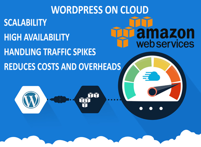 Install or move wordpress to aws by Mohsinali7