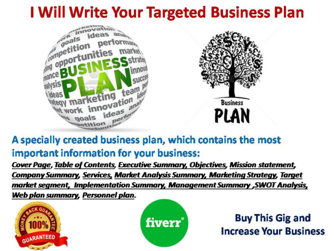 write a custom business plan