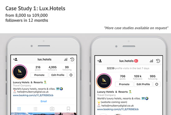 Manage and grow your business instagram account by Gintareva - 550 x 370 jpeg 32kB