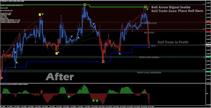 Fxrider I Will Give A Confidence Forex Scalping Indicator Trading System For 30 On Www Fiverr Com - 