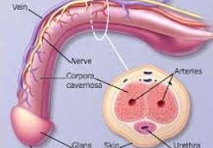 Chto Mojet Pomoch Ot Pornozavisimosti chto mojet pomoch ot pornozavisimosti