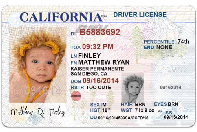 california id card template psd