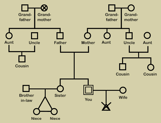 genogram with 3 generations