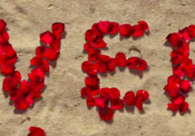 Create Your Own Name Using Red Rose Flowers By Fazer92