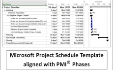 provide a ms project schedule aligned to pmi