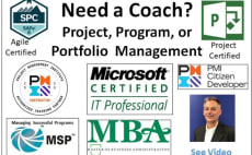 provide coaching on project, program or portfolio management